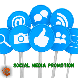 Social Media subscribers