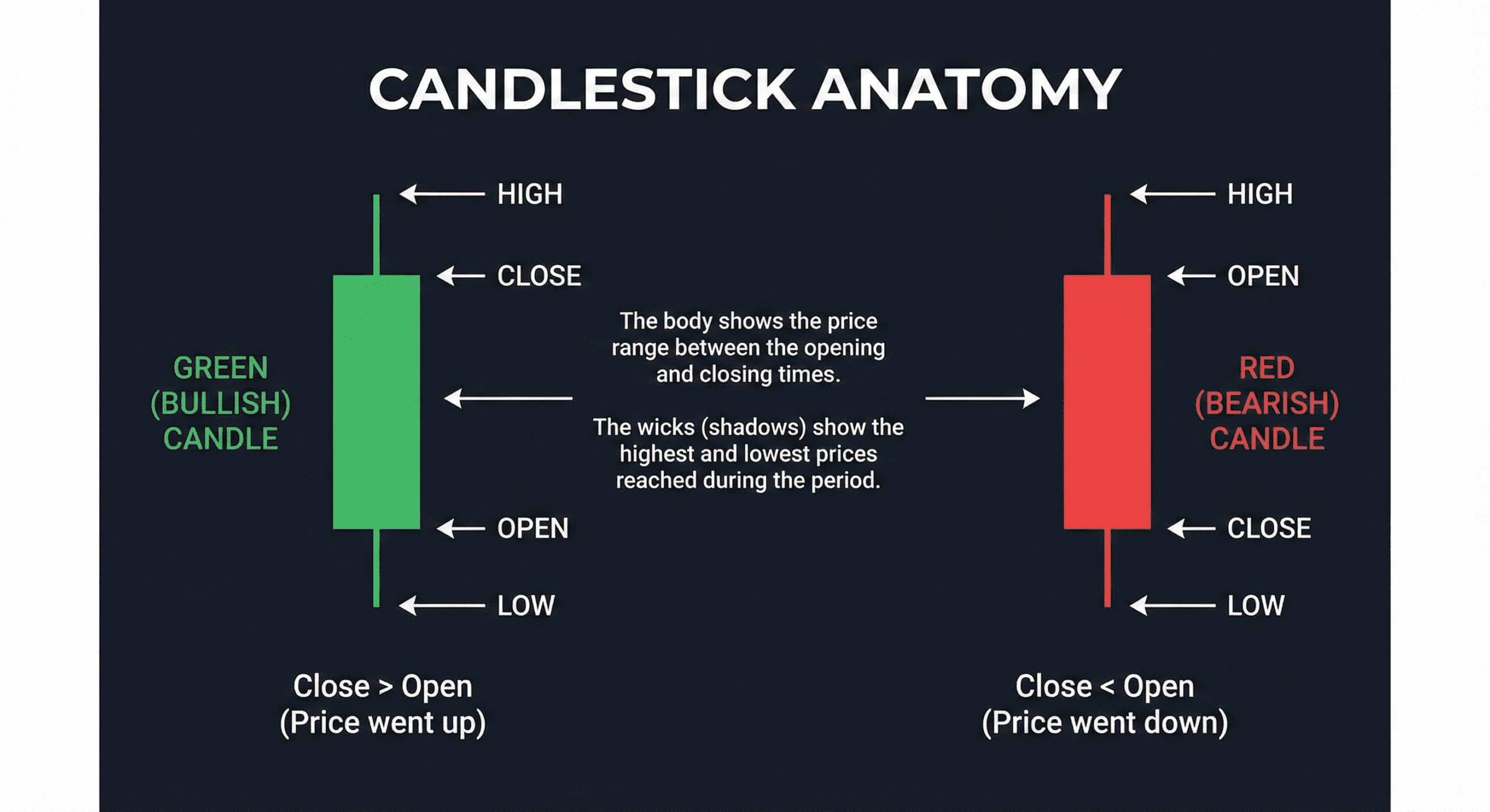 crypto trading for beginners guide