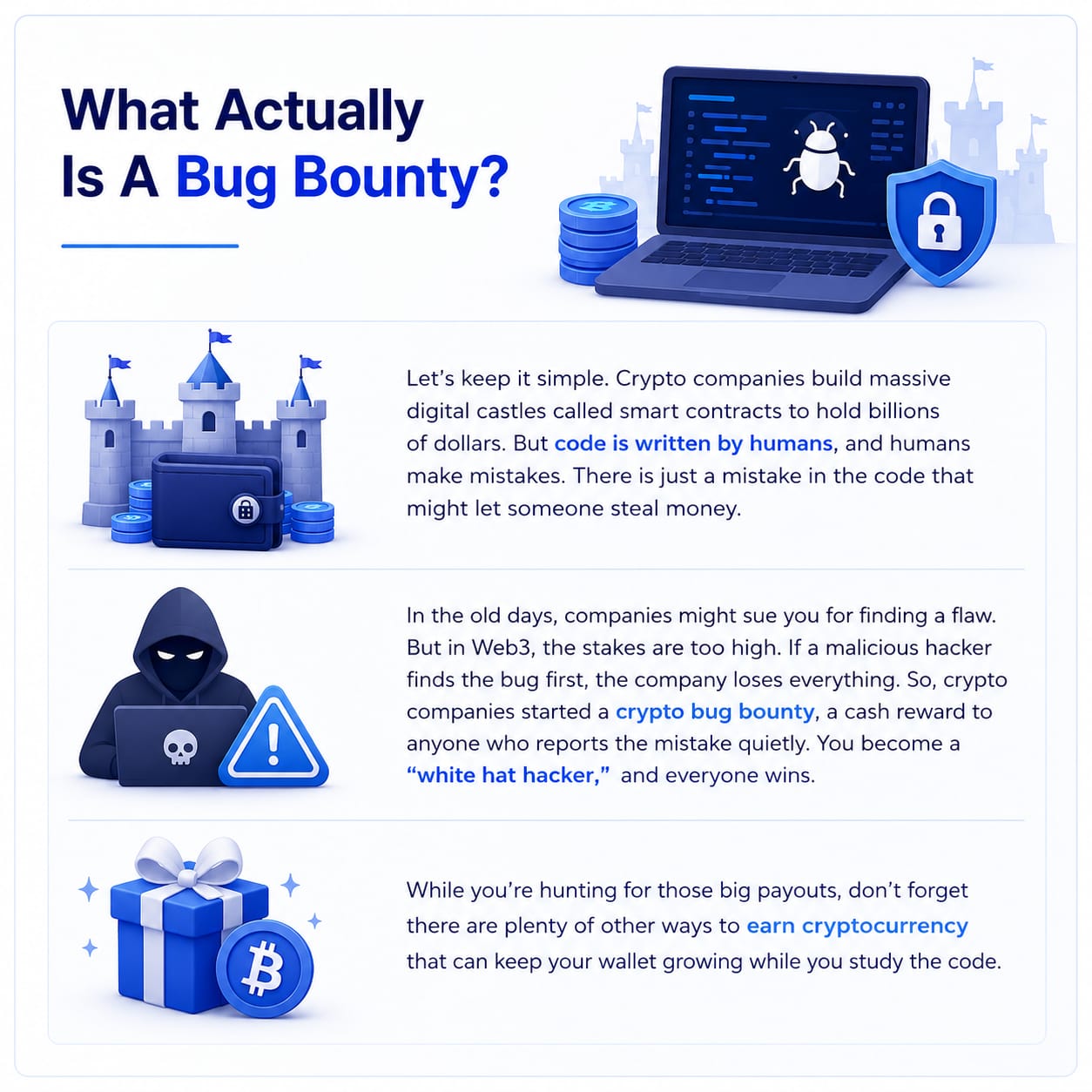 what actually is a bug bounty?